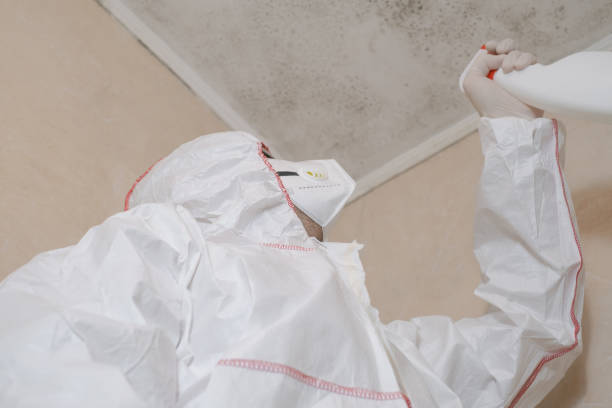 Best Mold Testing and Inspection Services in Mcgregor, TX