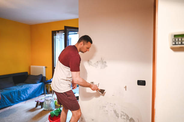 Best DIY Mold Remediation Support Services in Mcgregor, TX